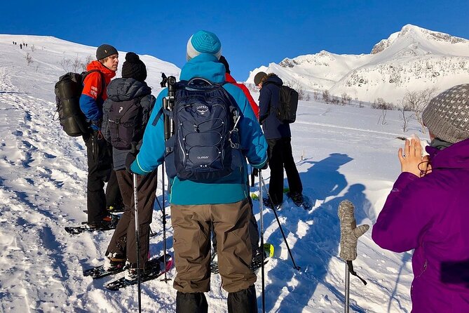 Snowshoe Hill Hike in Tromsø - Stops that make the day feel local: Kvaløya and the return to Tromsø