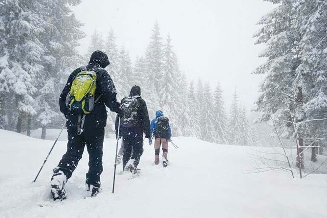 Snowshoe Tour in Winter Wonderland - Oslo - Key things that make this Oslo snowshoe tour work