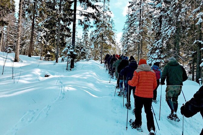 Snowshoe Tour in Winter Wonderland - Oslo - Pace, weather, and keeping it comfortable for 3.5 hours