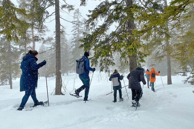 Snowshoe Tour in Winter Wonderland - Oslo - Gear and clothing: what you get and what you must pack