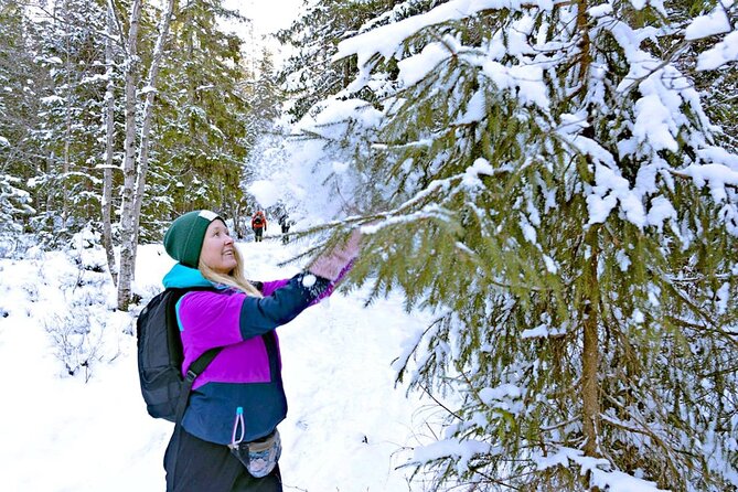 Snowshoe Tour in Winter Wonderland - Oslo - Getting back to the center: finishing near Jernbanetorget
