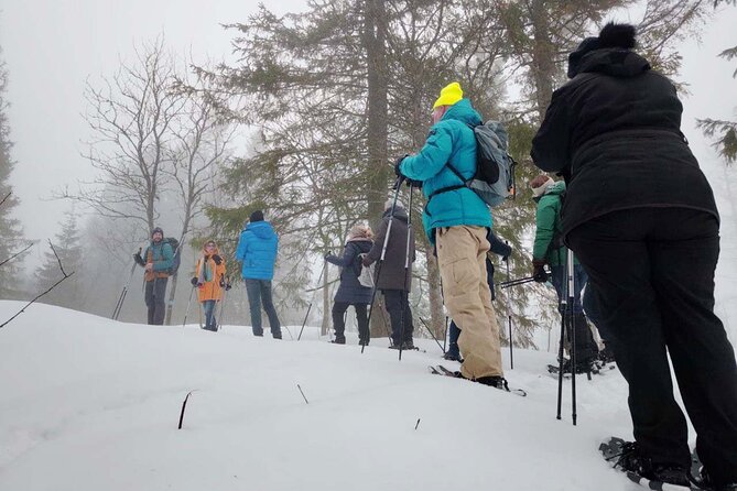 Snowshoe Tour in Winter Wonderland - Oslo - Price and value: what $106.65 buys you in Oslo