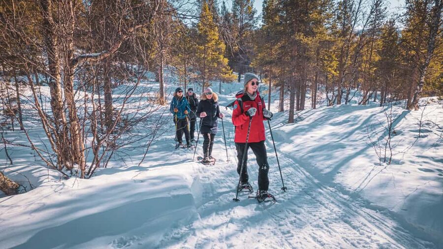 Snowshoeing Adventure to the Enchanting Frozen Waterfall - Who should book this snowshoe hike
