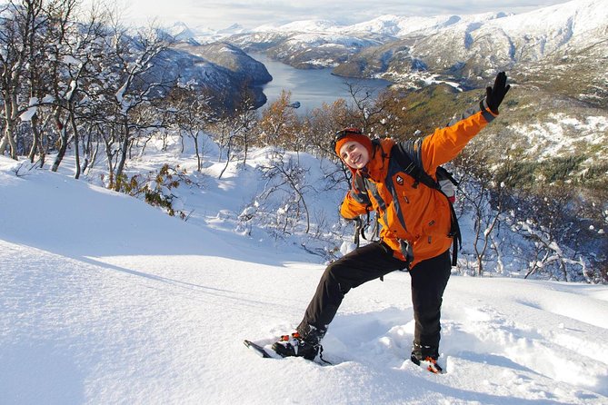 Snowshoeing - Winter Day Trip in Bodo, Northern Norway - Key points worth knowing