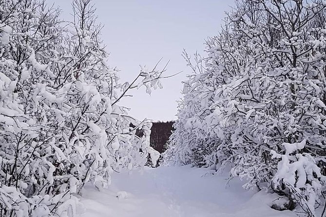 Snowshoeing With A View - Key highlights at a glance