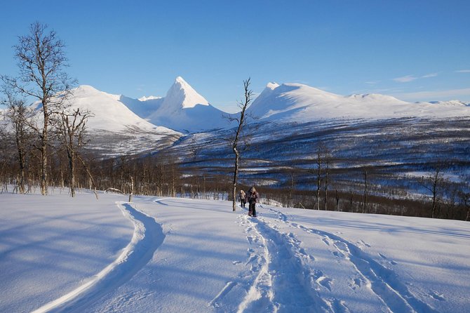 Snowshoeing With A View - Climbing Hompan: 450 mamsl and the best part of the morning