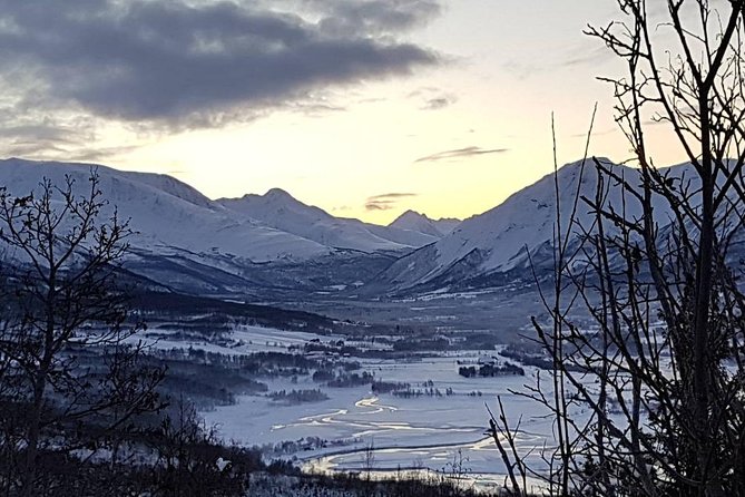 Snowshoeing With A View - Picture stops and guide moments that make the hike feel personal