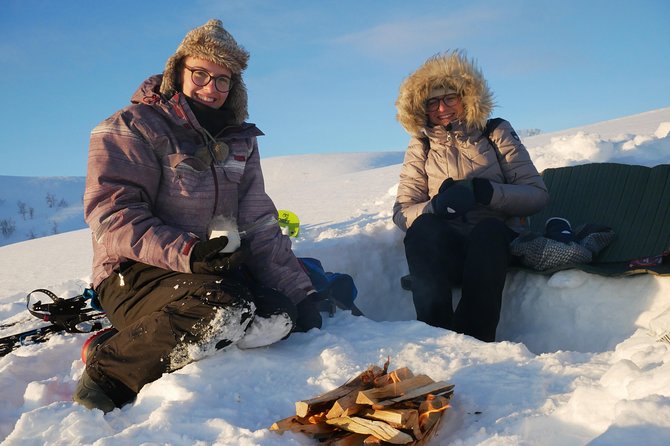 Snowshoeing With A View - Small group size and moderate fitness: who it’s for, and who should think twice