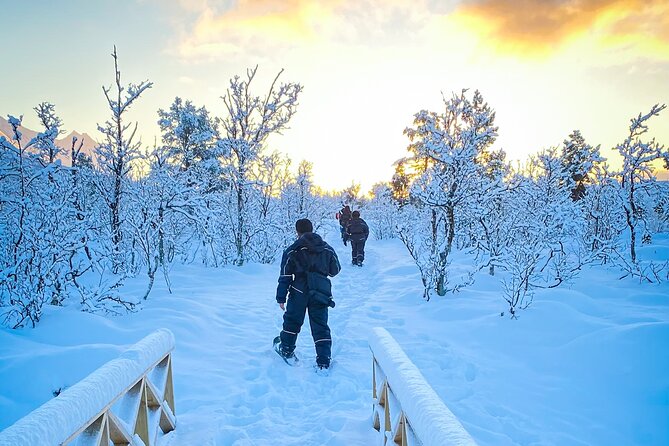 Snowshoeing with Aurora Crystal-Lavvo Overnight Stay from Tromsø - From Tromsø to the base camp: ferry views and an Arctic Route bus