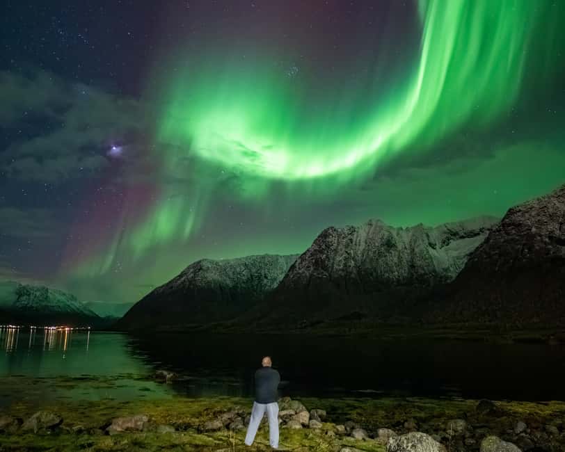 Sortland: Small Group Northern Lights Chase by Car - What the 3-Hour Chase Feels Like, Hot Drinks and Real Waiting
