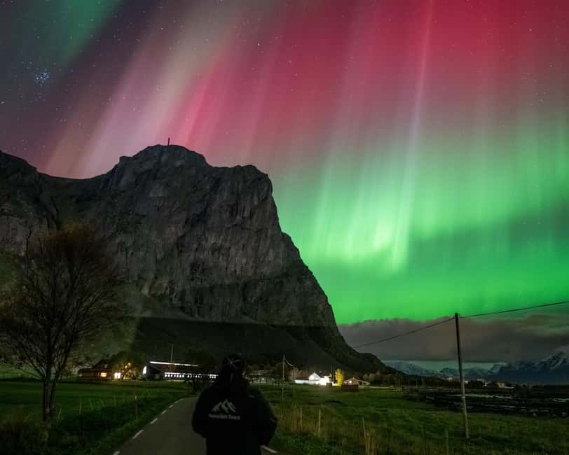 Sortland: Small Group Northern Lights Chase by Car - Price and Value: Is $157 per Person Worth It?