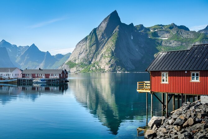 Special Summer Cruise Bus Tour of Lofoten - Hamnøy Bridge and the Reinefjord viewpoint vibe
