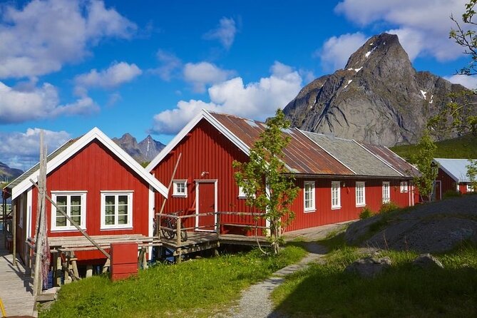 Special Summer Cruise Bus Tour of Lofoten - Cruise-ship friendly pickup: Gravdal (Leknes) vs Svolvær