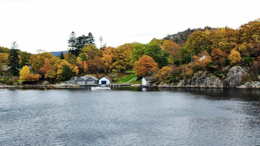 Stavanger: Electric Fjord Cruise to Lysefjord & Preikestolen - Who should book this electric fjord cruise, and who should skip it
