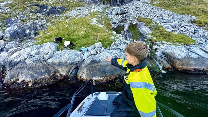 Stavanger: Guided Lysefjord Cruise to Pulpit Rock - Fantahala photo stop: the quick breather that helps the rest make sense