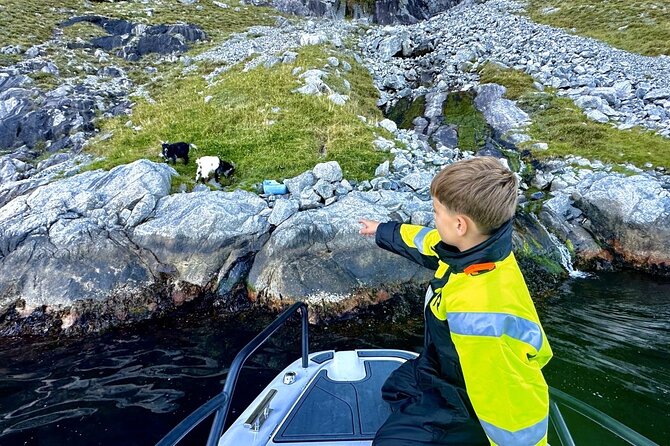Stavanger: Guided Lysefjord Safari on Speedboat - Lysefjordbrua: How the Fjord’s Scale Sets Up Everything Else