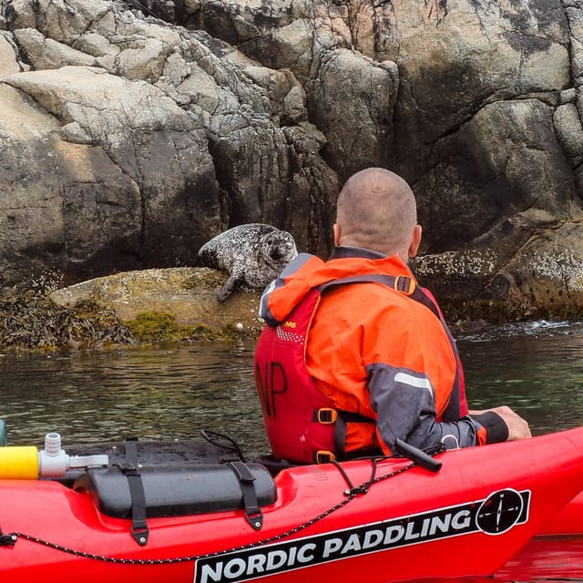 Stavanger: Lysefjord Kayak Safari (Waterfalls & Pulpit Rock) - Vagabond’s Cave and Waterfalls: The Mid-Trip Payoff