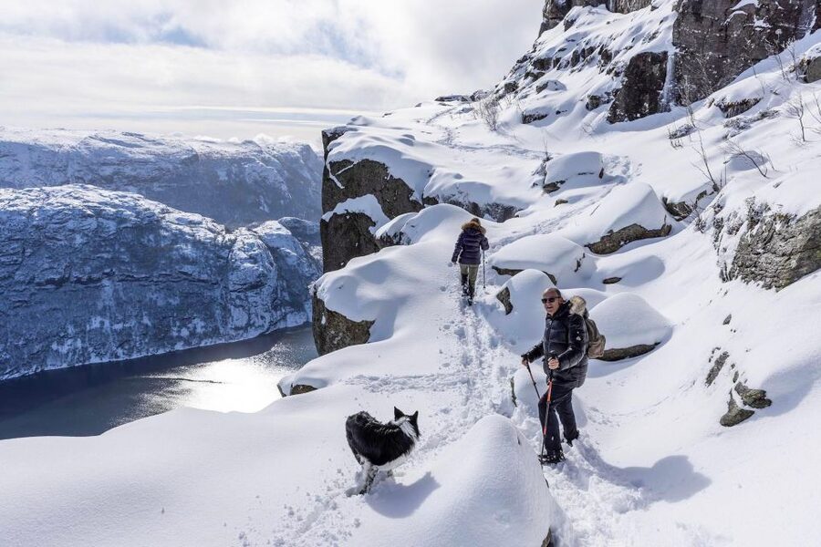 Stavanger: Preikestolen Winter Hike + Hot Lunch - What $219 buys you, and why it can feel worth it