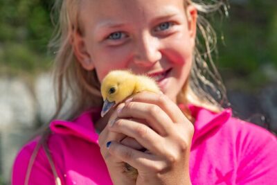 Steim Farm Experience in Vik, Norway