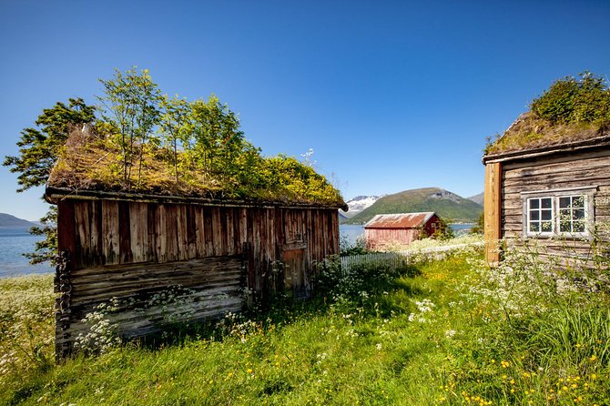 Summer Fjord Road Trip with Citizen Science with Wandering Owl - Why this 4-hour summer road trip works in Tromsø time