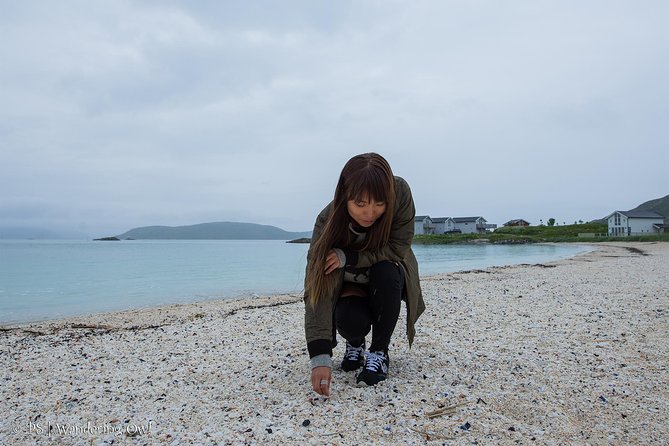 Summer Fjord Road Trip with Citizen Science with Wandering Owl - The homemade picnic lunch by the Arctic coast