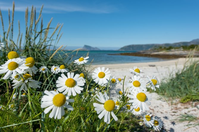 Summer Fjord Road Trip with Citizen Science with Wandering Owl - Weather, clothes, and the reality of limited toilets