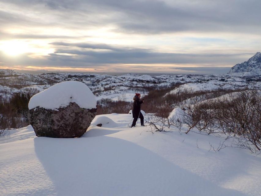 Svolvaer: Half-Day Guided Snowshoeing Tour - Key Highlights I’d Prioritize