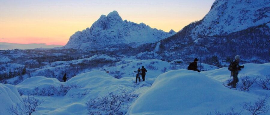 Svolvaer: Half-Day Guided Snowshoeing Tour - Your Start in the Van, Then Gear Time That Actually Matters