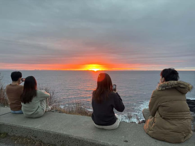 Svolvær: Lofoten Islands Full-Day Guided Tour - Key highlights that make this tour worth considering