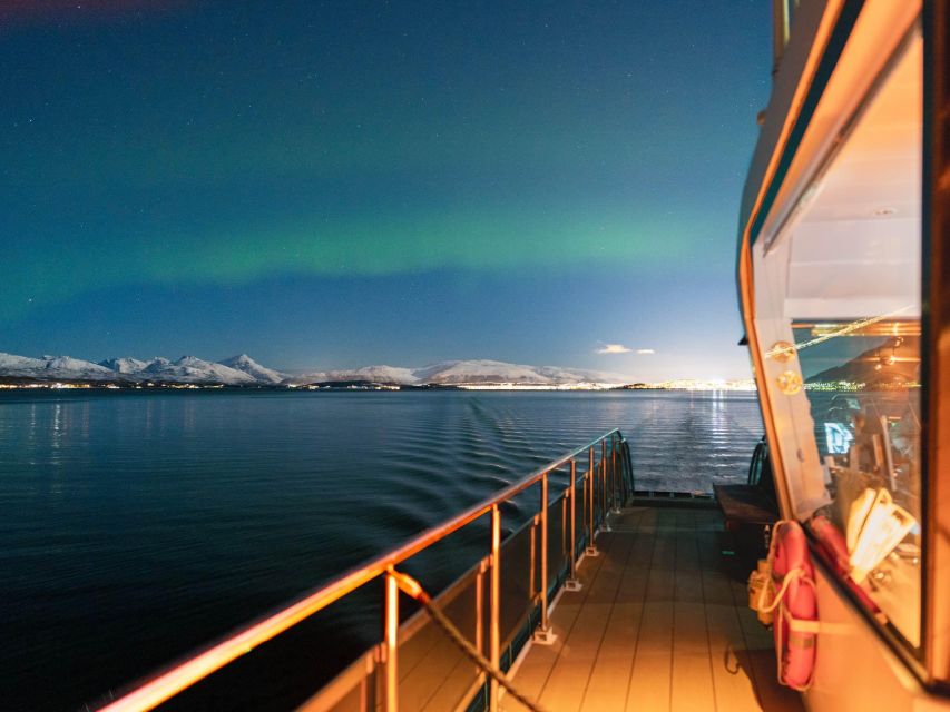 Svolvær: Northern Lights and Full Steam Cruise with Tasting - Key moments that make this cruise worth your time