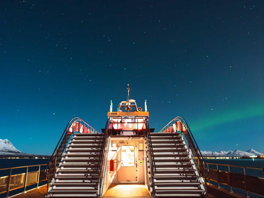 Svolvær: Northern Lights and Full Steam Cruise with Tasting - Price and value at about $103 per person