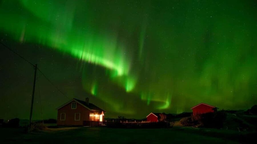 Svolvær: Northern Lights Tour with Hot Drinks & Photos - Inside the Mercedes V-Class: comfort, space, and panoramic viewing