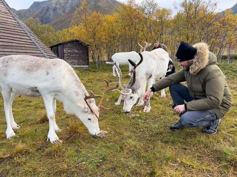Svolvær: Sami Culture and Reindeer Experience - Key points before you go