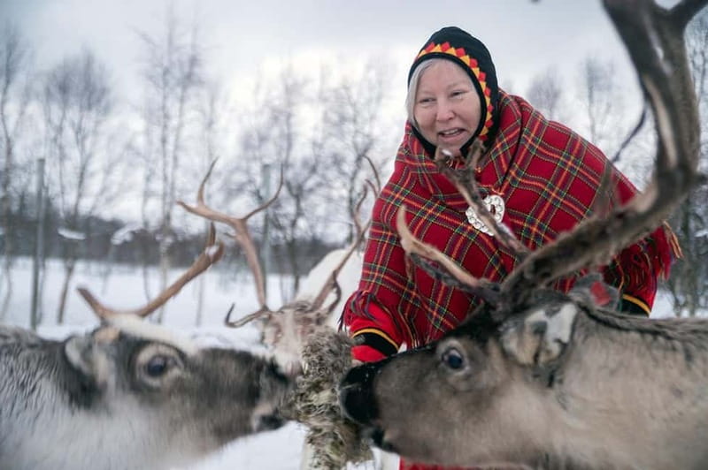 Svolvær: Sami Culture and Reindeer Experience - Price and value: is $240 worth it?