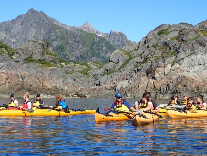 Svolvaer: Sea Kayaking Experience - Wildlife spotting focus: seabirds and the white-tailed sea eagle