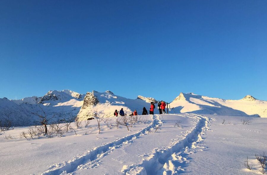 Svolvær: Snowshoe Nature Explorer - The 3 Hour Winter Walk: What the Route Feels Like in Lofoten