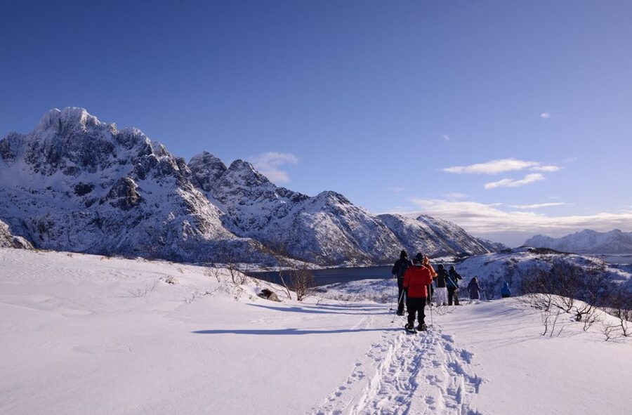 Svolvær: Snowshoe Nature Explorer - Photo Stops and the Kind of Winter Moments You Can Actually See