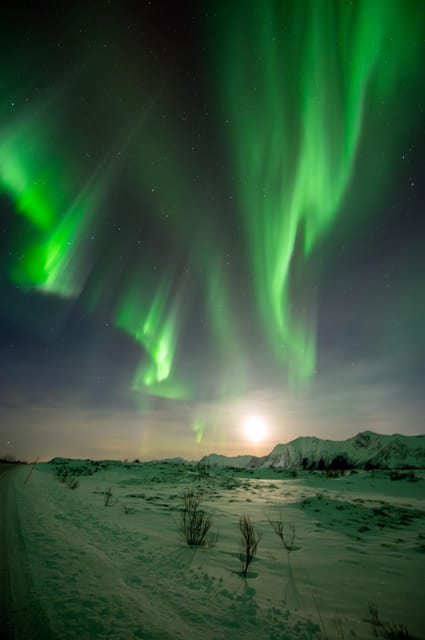 Svolvær: Ultimate Aurora Hunt - Should you book this Ultimate Aurora Hunt in Svolvær?