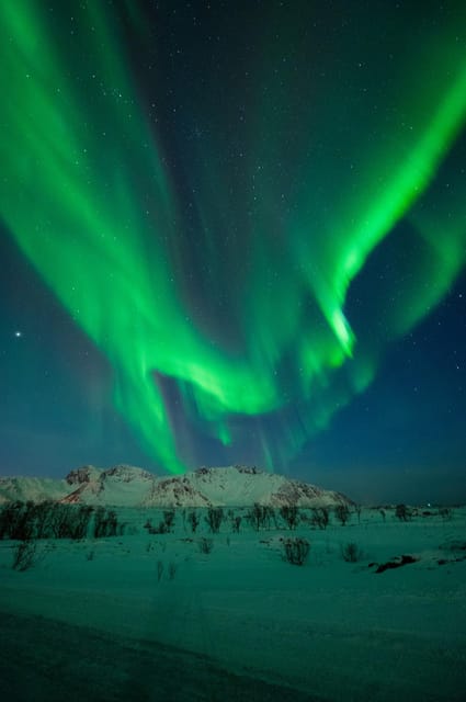 Svolvær: Ultimate Aurora Hunt - Who this Svolvær aurora hunt is best for