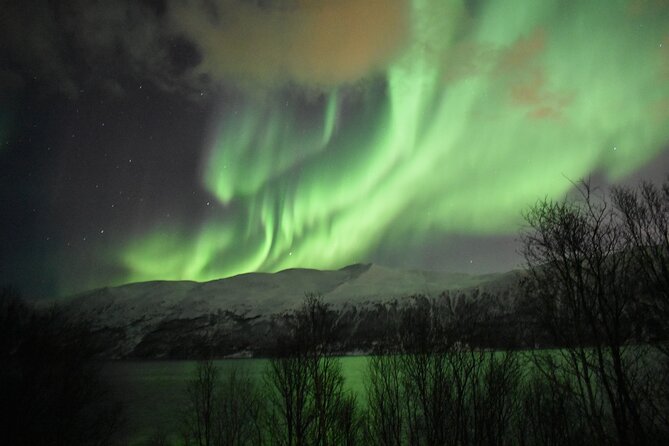 The Aurora Tour - small group, northern lights - The Northern Lights hunt: flexible stops and real patience