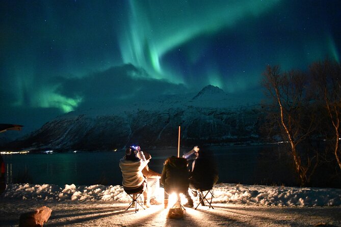 The Aurora Tour - VIP trip for northern lights, aurora borealis - Key Points to Know Before You Go