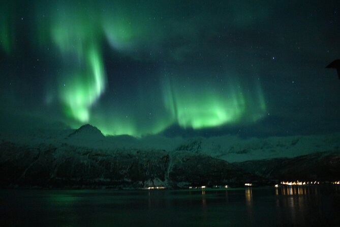 The Aurora Tour - VIP trip for northern lights, aurora borealis - Pickup and private group logistics: VIP in name, plan in reality