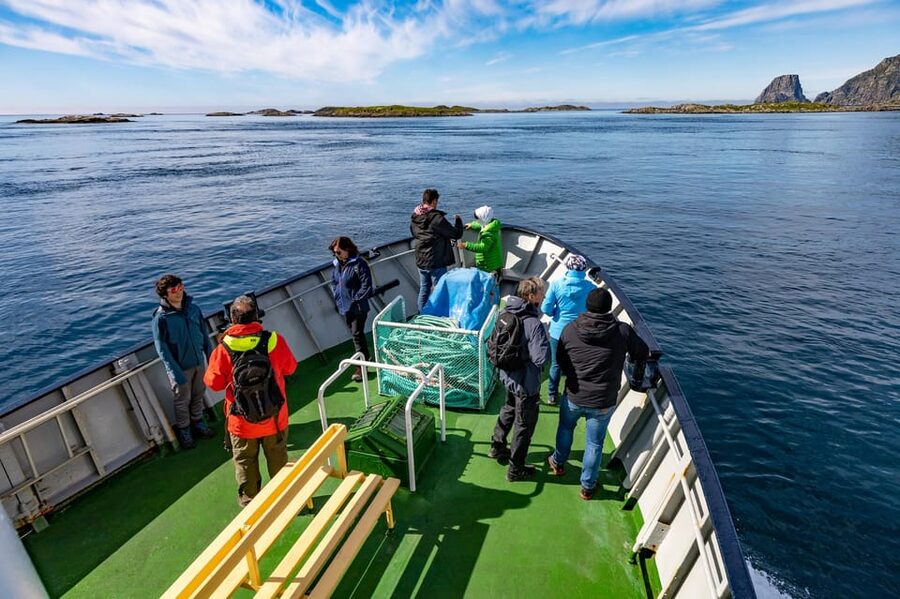 The Bird Safari Tour - The boat excursion: where the real bird safari happens