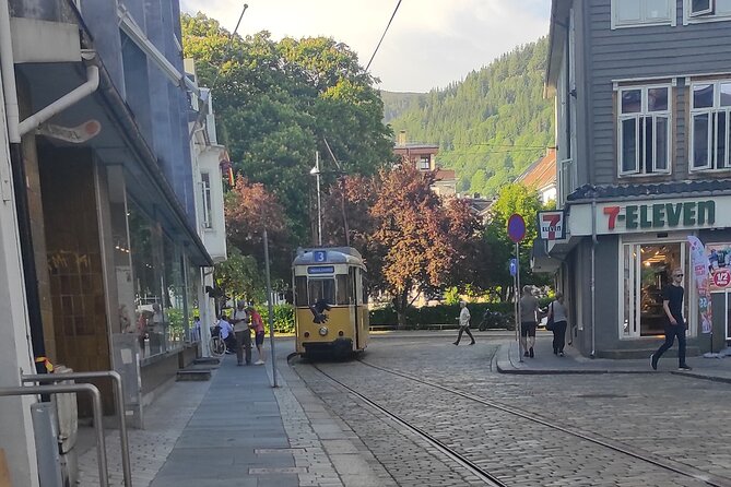 The influence of Bergen in Norway's development, city tour - Price and what you actually get for $45.66