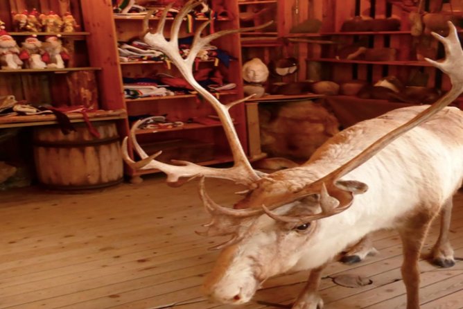 The North Cape, Reindeer and Sami Families Tour - So who is this tour best for?