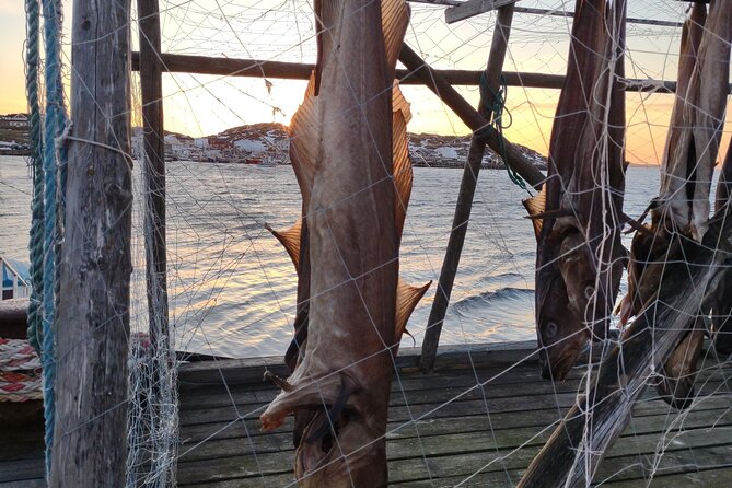 The VIP North Cape Tour - Taste of Arctic Tapas: Included Food That Makes the Day Easier
