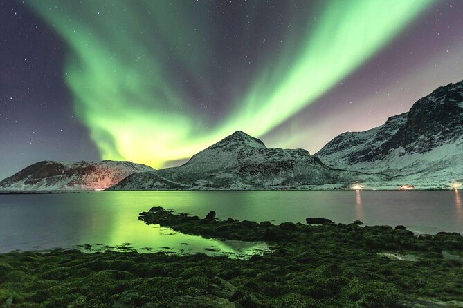 Tour of the authentic fjords of Kvaløya - Key things to notice before you go