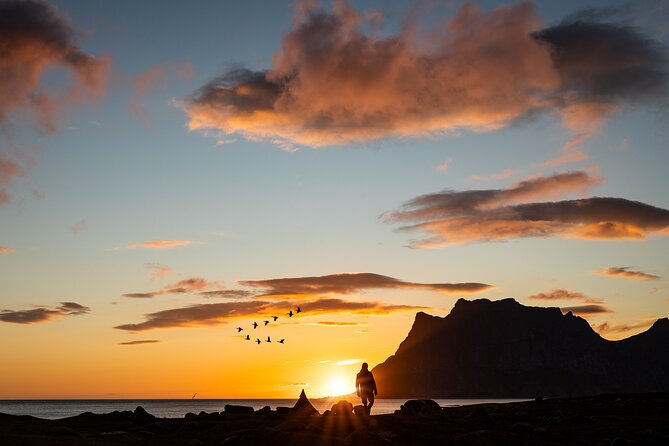 Tour of the authentic fjords of Kvaløya - Tromsø meetup and the 10:00 start you can plan around