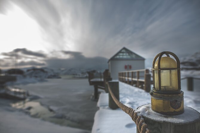 Tour of the authentic fjords of Kvaløya - Price and value: is $151.06 a smart spend?