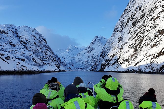 Trollfjord and Sea Eagle Safari Tour from Svolvaer - Key takeaways before you go